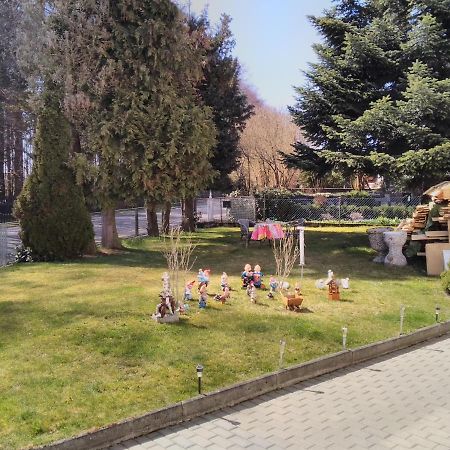 Ferienwohnung Heidi Зелб Екстериор снимка